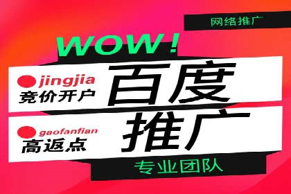 揭秘信息流优化师：成功案例背后的技巧